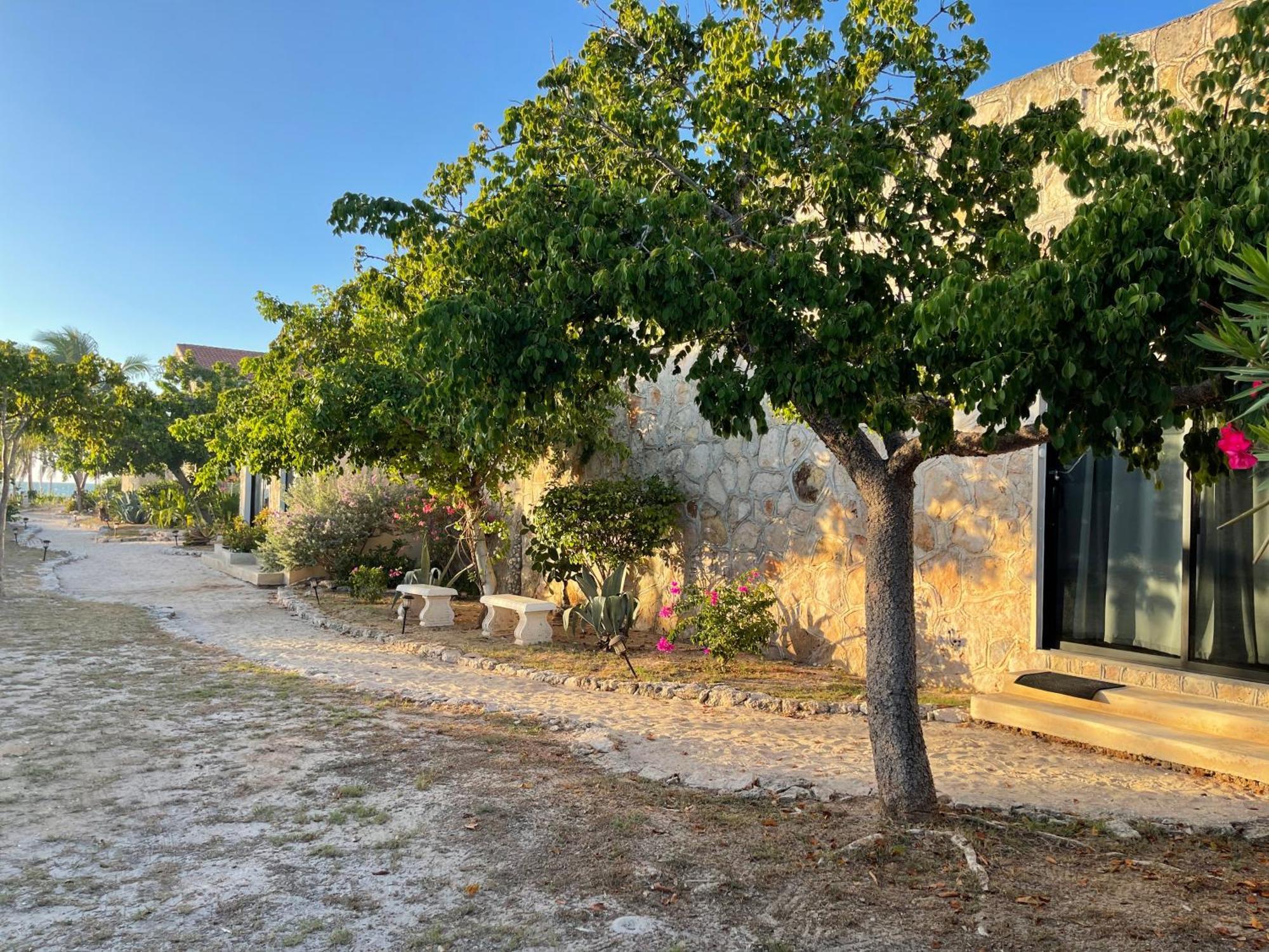 Bremar 85 Private Place - Adults Only Celestun Luaran gambar