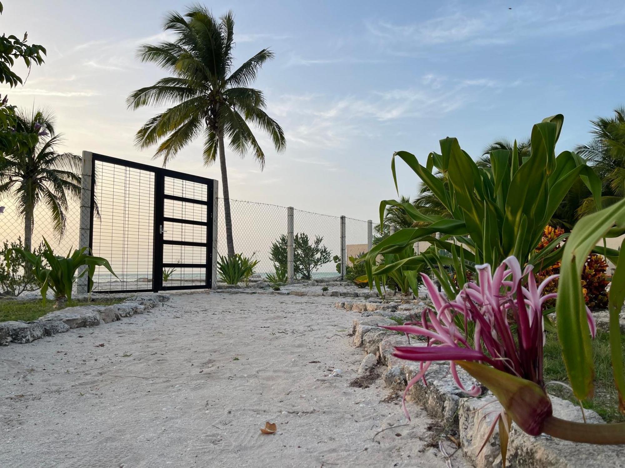 Bremar 85 Private Place - Adults Only Celestun Luaran gambar